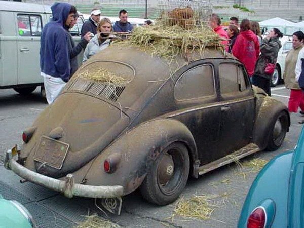 200971712191_Maggiolino_Rat03.jpg